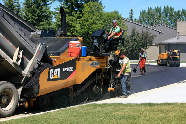 Best Local Driveway Pavers  in Santa Ana Pueblo, NM